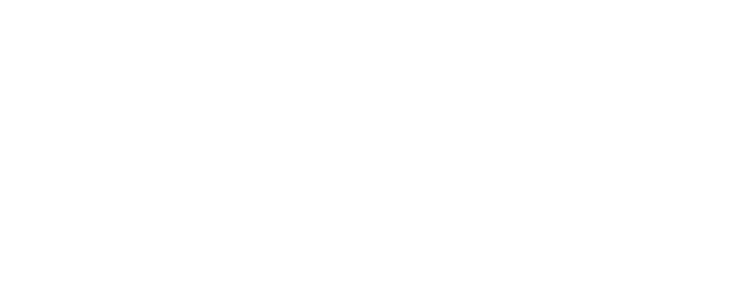 Bodega AI Logo